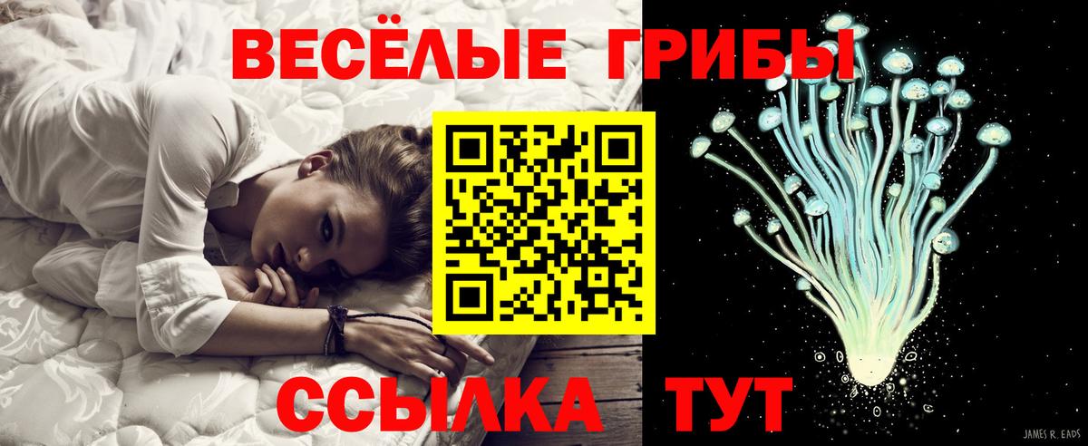 Гашиш  Вход с VPN  LSD-25  Экстази  Канабис  Меф  Алатырь  Меф   A-PVP СОЛЬ   Как найти наркотики? 